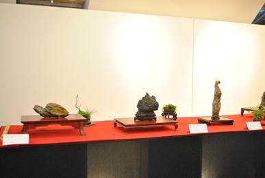 bonsai es suiseki kiallitas a marczika bonsai studio rendezeseben bonsai es suiseki mustra cimmel